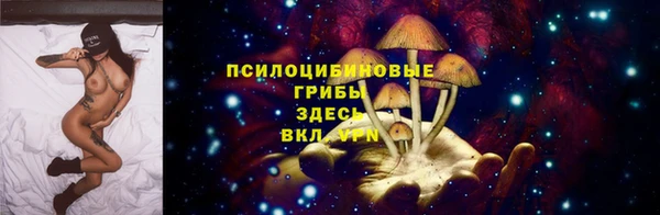2c-b Болохово
