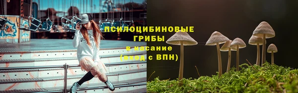 гашиш Пересвет
