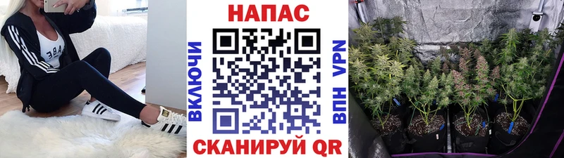 МАРИХУАНА LSD WEED  ссылка на мегу ссылка  Владимир 